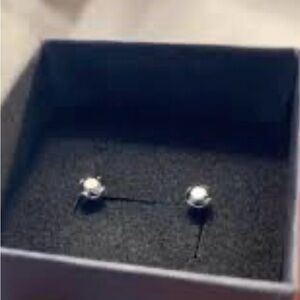 Elegant Silver Stud Earrings